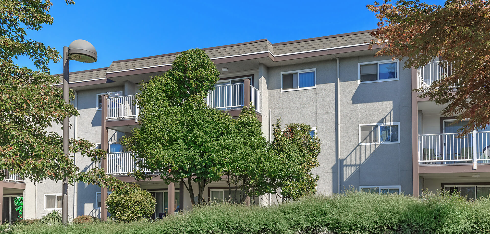 Arbor Heights Apartments for Rent in Burien, WA